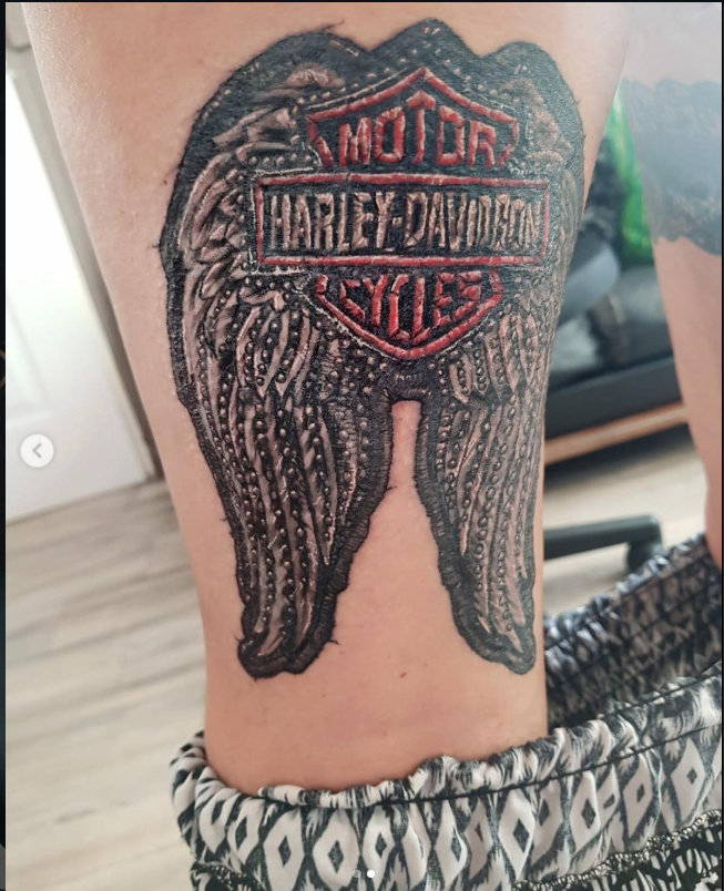 Aigle Harley